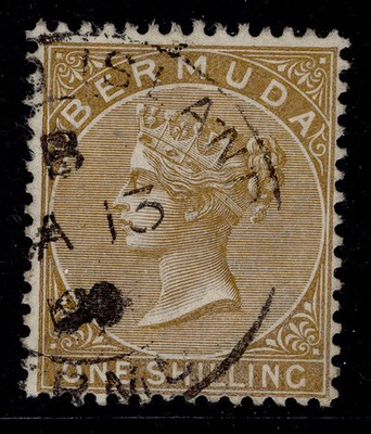 bermuda-qv-sg29b-1s-olive-brown-fine-used-cat-26