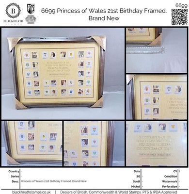 6699-princess-of-wales-21st-birthday-framed-brand-new