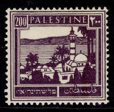 palestine-gv-sg103-200m-deep-violet-m-mint