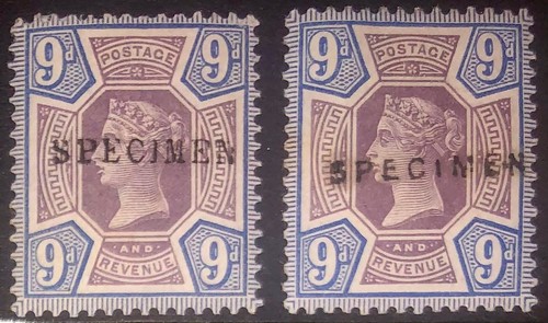 qv-gb-sg209s-9d-dull-blue-and-purple-specimen-two-different-varieties-9-12