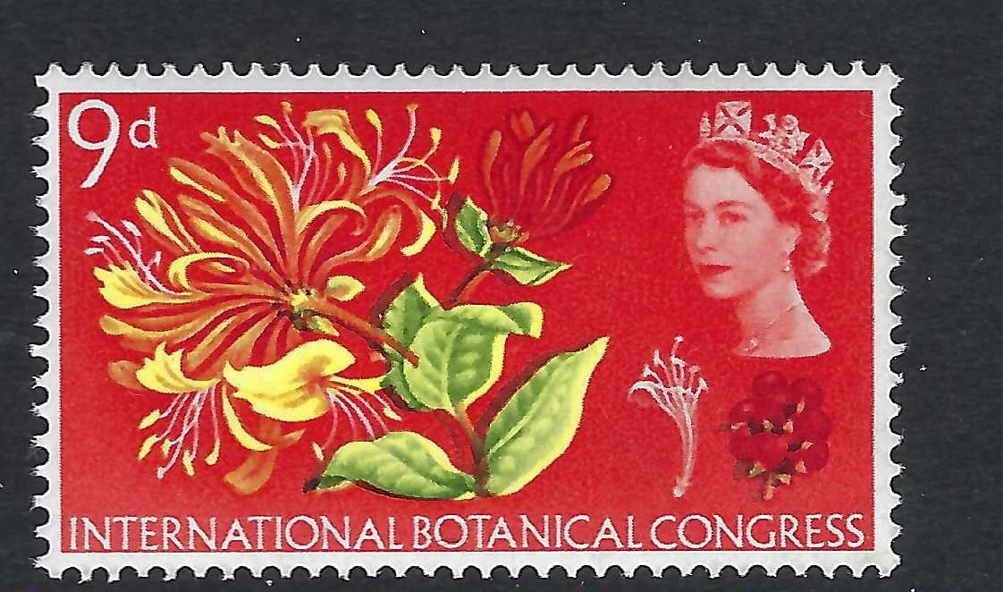 1964-botanical-1-3-green-colour-shift-error