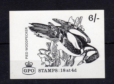 6-pied-woodpecker-booklet-cover-proof-on-white-glazed-paper