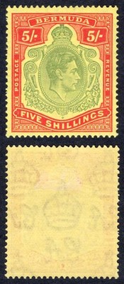 bermuda-sg118-5-green-and-red-yellow-m-m-cat-100-pounds
