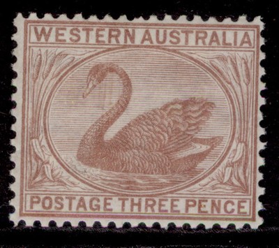 australia-western-australia-qv-sg63a-3d-cinnamon-m-mint-cat-60