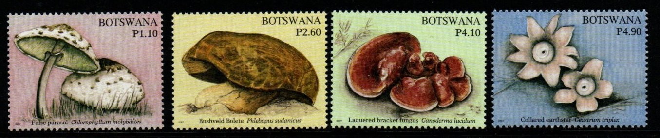 botswana-sg1070-3-2007-fungi-mnh