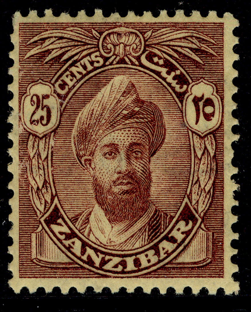 zanzibar-gv-sg307-25c-purple-yellow-m-mint-cat-17