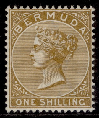 bermuda-qv-sg29-1s-yellow-brown-m-mint-cat-24