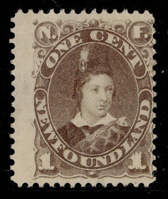 canada-newfoundland-qv-sg44-1c-dull-grey-brown-unused-cat-60