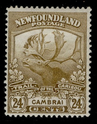 canada-newfoundland-gv-sg140-24c-bistre-brown-m-mint-cat-35