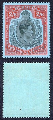 bermuda-sg117d-2-6-black-and-red-pale-blue-perf-13-m-m-cat-18-pounds