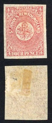 newfoundland-sg18-4d-rose-lake-m-m-cat-50-pounds