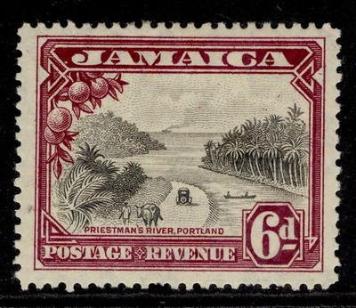 jamaica-gv-sg113-6d-grey-black-purple-m-mint-cat-35