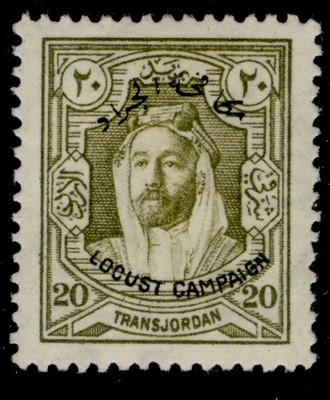 transjordan-gv-sg189-20m-olive-green-m-mint