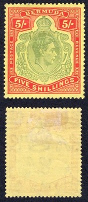 bermuda-sg118-5-green-and-red-yellow-m-m-cat-100-pounds