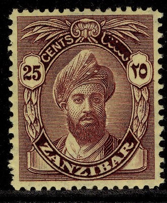 zanzibar-gv-sg307-25c-purple-yellow-m-mint-cat-20
