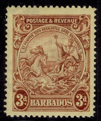 barbados-gv-sg234a-3d-reddish-purple-yellow-m-mint