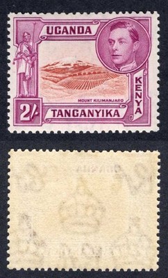 kut-sg146-2-perf-13-25-superb-u-m-cat-180-pounds