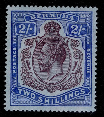 bermuda-gv-sg51b-2s-purple-blue-blue-lh-mint-cat-20