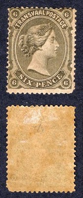 transvaal-sg137-6d-olive-black-m-m-cat-24-pounds