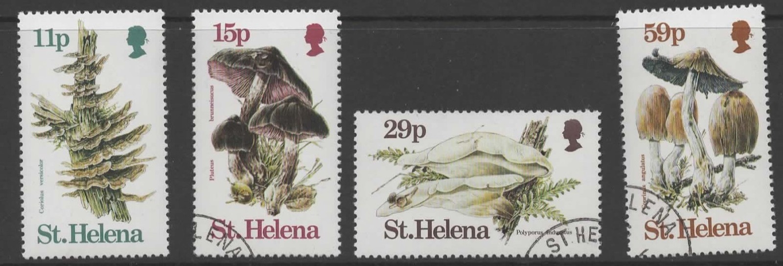 st-helena-sg415-8-1983-fungi-used