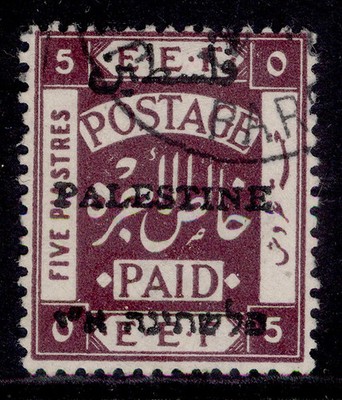 palestine-gv-sg23-5p-deep-purple-fine-used-cat-30