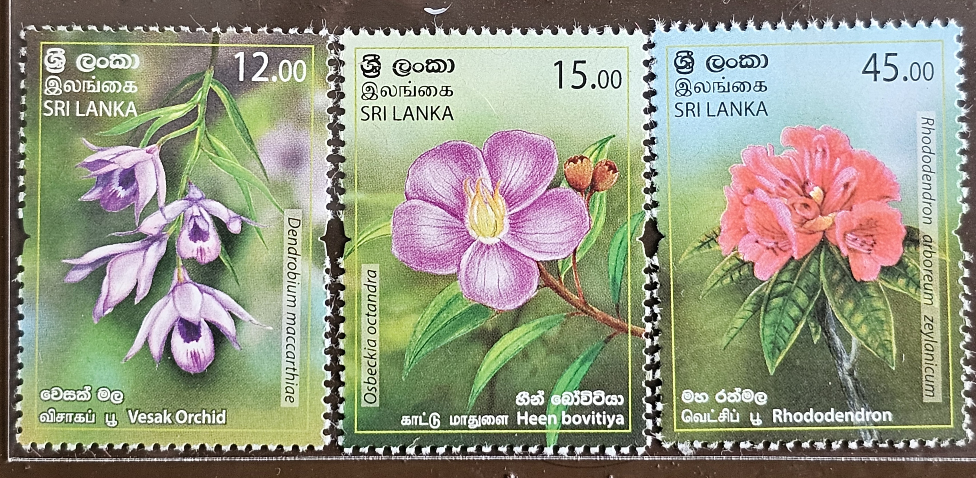 flowers-of-sri-lanka-2019-stamps-mnh-flora-flowers-plants