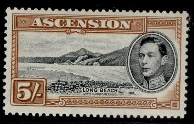 ascension-gvi-sg46a-5s-black-yellow-brown-m-mint-cat-40