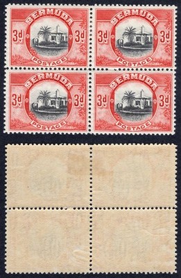 bermuda-sg103-3d-black-and-scarlet-2-x-u-m-cat-36-pounds