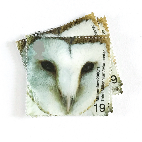 4-x-barn-owl-19p-unused-gb-mint-mnh-postage-stamps-owls-millennium