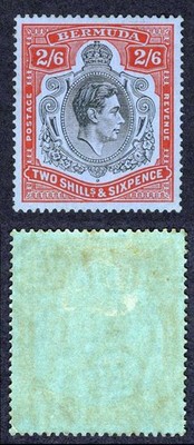 bermuda-sg117-2-6-black-and-red-grey-blue-m-m-cat-70-pounds