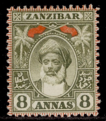 zanzibar-qv-sg199-8a-grey-olive-m-mint-cat-12
