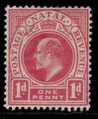 south-africa-natal-edvii-sg128-1d-carmine-m-mint-cat-14
