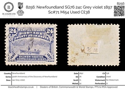 8256-newfoundland-sg76-24c-grey-violet-1897-sc-71-mi54-used-c38