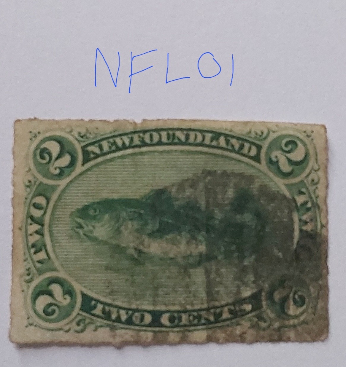 newfoundland-1876-2c-green-cod-rouletted-used-nfl01