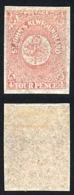 newfoundland-sg18-4d-rose-lake-new-colours-without-mesh-m-m-cat-50