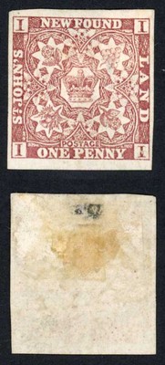 newfoundland-sg1-1d-brown-purple-thick-mesh-paper-heavily-mounted-cat-200