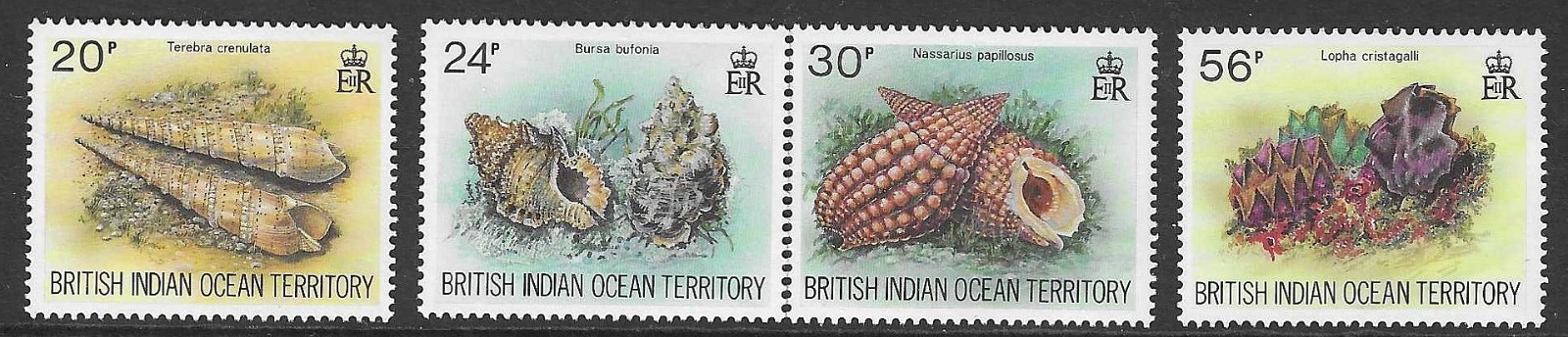 british-indian-ocean-terr-sg176-9-1996-sea-shells-mnh