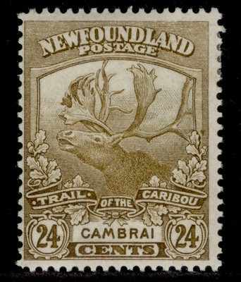 canada-newfoundland-gv-sg140-24c-bistre-brown-m-mint-cat-35