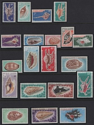 new-caledonia-1968-sea-shells-set-of-20-um-sg443-462-c138
