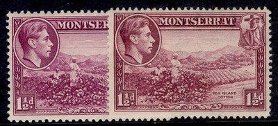 montserrat-gvi-sg103-103a-1d-perf-varieties-m-mint-cat-26