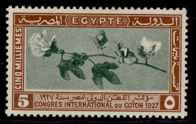 egypt-sg145-5m-green-brown-m-mint