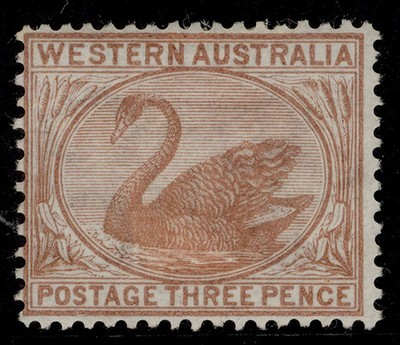 australia-western-australia-qv-sg63a-3d-cinnamon-m-mint-cat-60