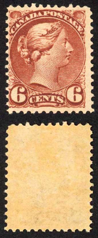 canada-sg107-6c-deep-chestnut-u-m-cat-80-pounds