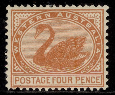australia-western-australia-edvii-sg142b-4d-bright-brown-red-m-mint-cat-26
