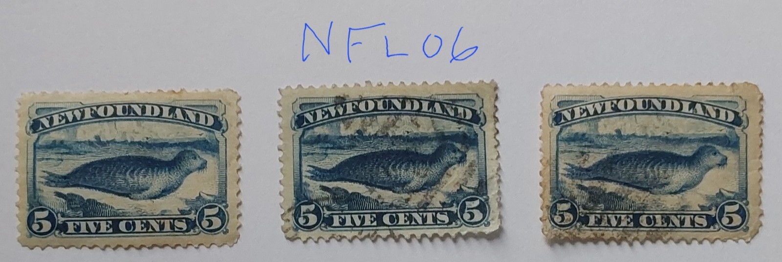 newfoundland-1880-5c-blue-5c-blue-seals-p12-col-vars-used-nfl06