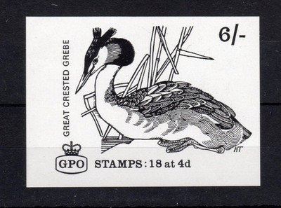 6-great-crested-grebe-booklet-cover-proof-on-white-glazed-paper