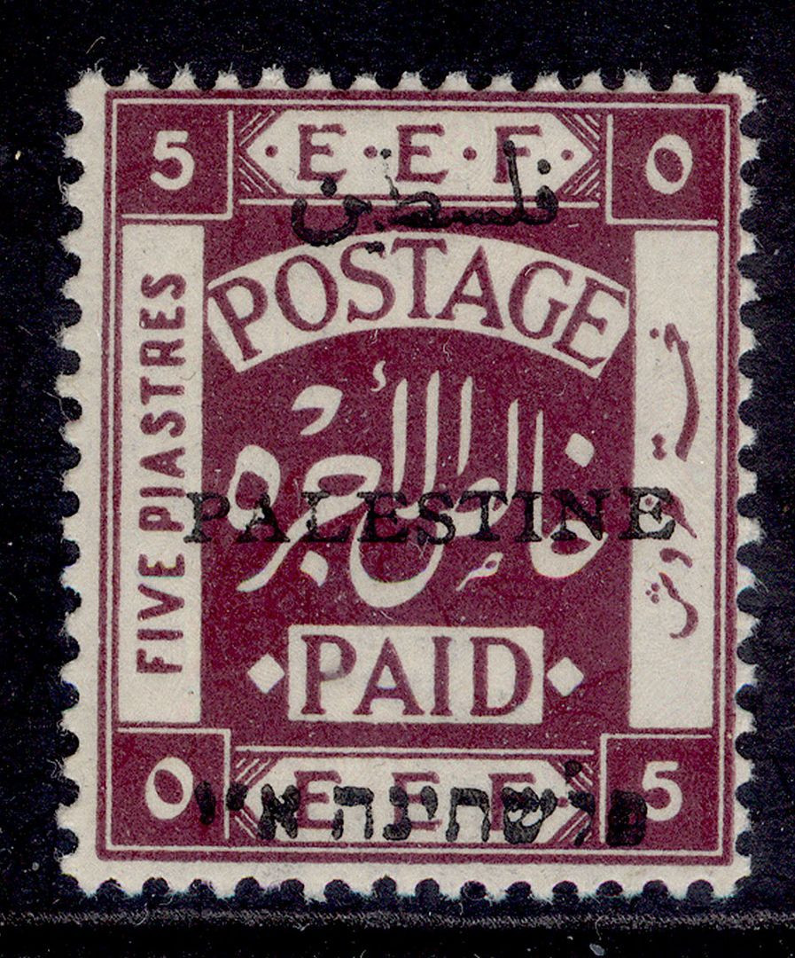 palestine-gv-sg23-5p-deep-purple-lh-mint-cat-27