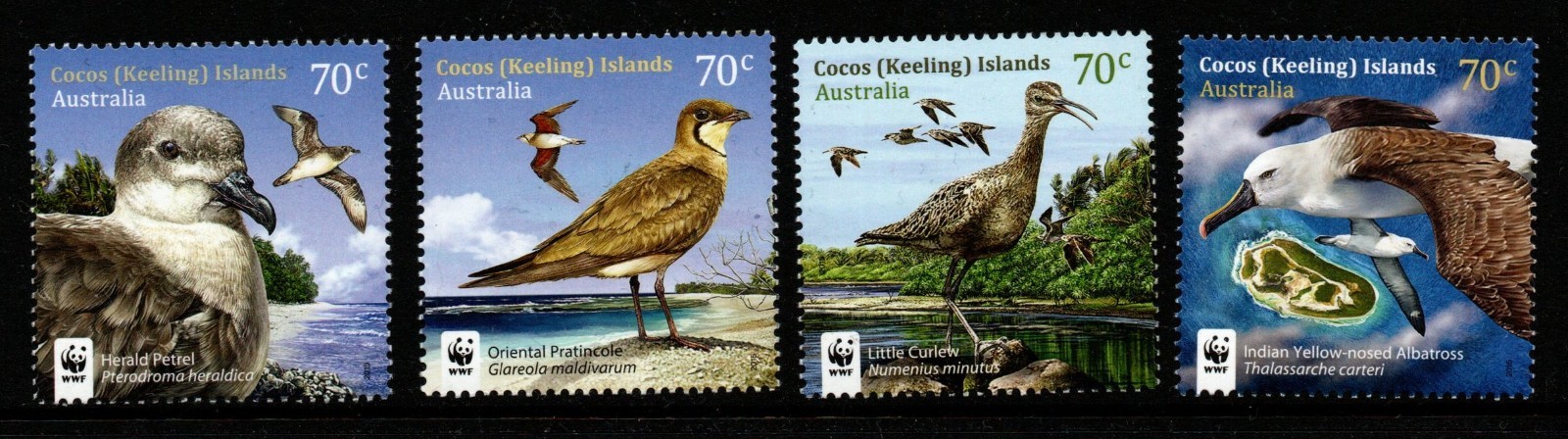 cocos-keeling-islands-sg493-6-2015-visiting-birds-mnh