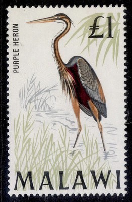 malawi-qeii-sg322-1-purple-heron-nh-mint