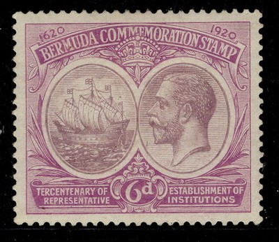 bermuda-gv-sg67-6d-dull-bright-purple-m-mint-cat-35